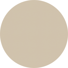 4556 - Beige oscuro